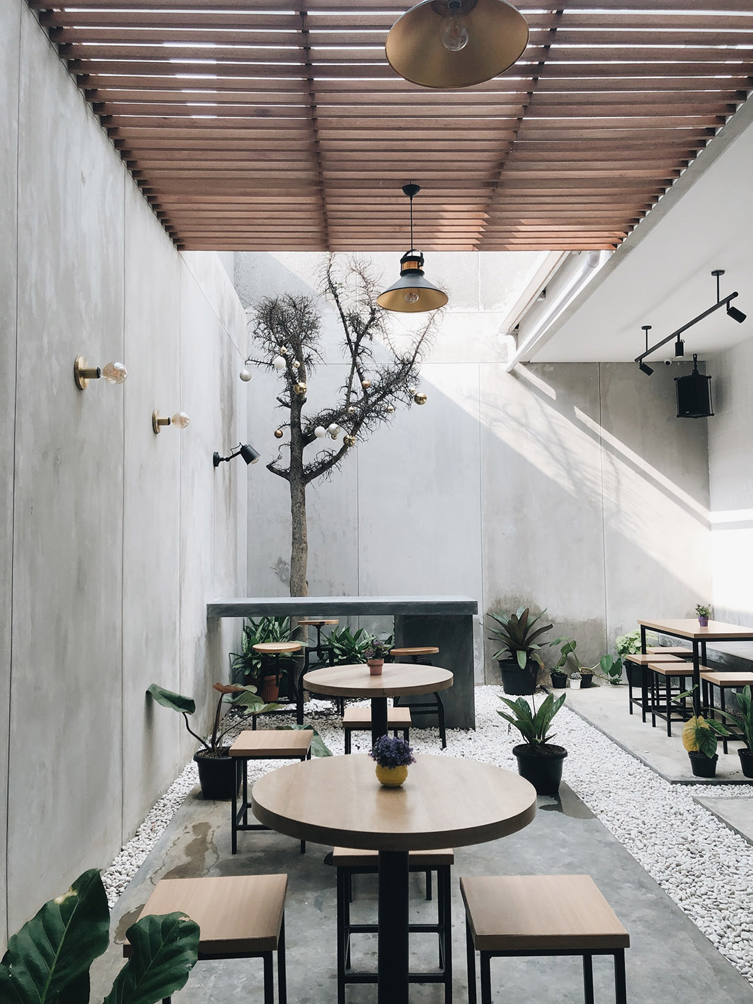 indoor cafe with round tables and stools and lots of plants and greenery to create an outdoor garden aesthetics